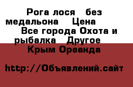 Рога лося , без медальона. › Цена ­ 15 000 - Все города Охота и рыбалка » Другое   . Крым,Ореанда